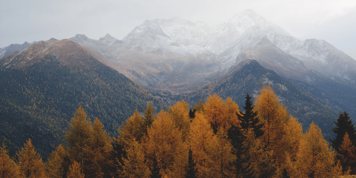 Vertiges saisonniers : le rôle méconnu de la vitamine D